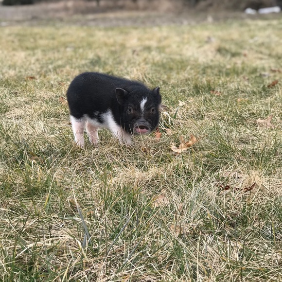 ❤️Tierney Lloyd❤️ - Picture 2 of 8